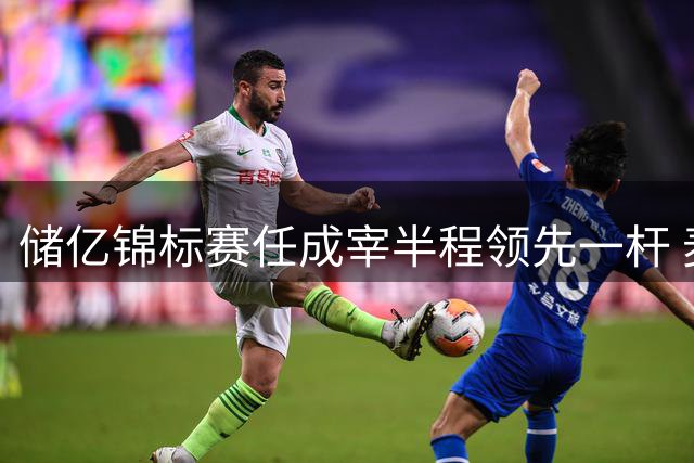 储亿锦标赛任成宰半程领先一杆 麦克罗伊攀升到T8