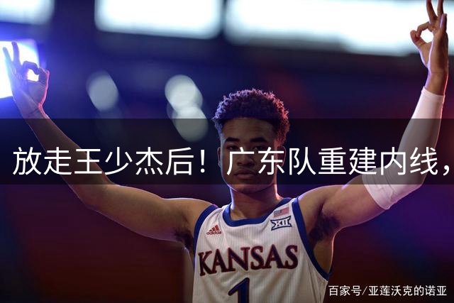 放走王少杰后！广东队重建内线，拒绝追求胡金秋，NBL新中锋到位