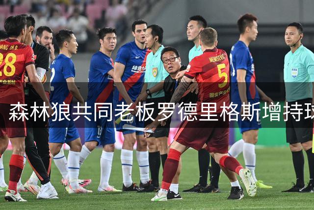 森林狼共同老板罗德里格斯增持球队股份