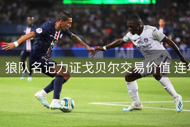 狼队名记力证戈贝尔交易价值 连年西决印证防守体系蜕变